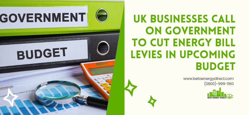 UK businesses call for energy levy cuts in Autumn Budget 2026